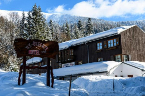 Гостиница BS-Ötscher Hotel, Гаминг